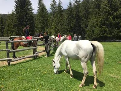 Horse Riding Smolyan - Конна езда Смолян