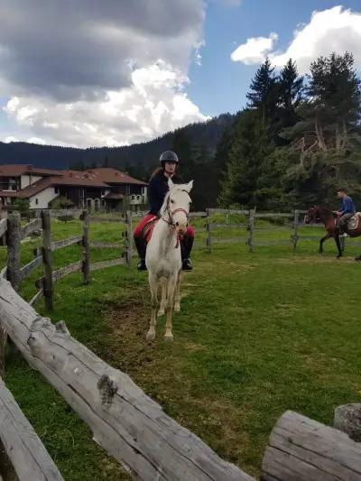 Horse Riding Smolyan - Конна езда Смолян