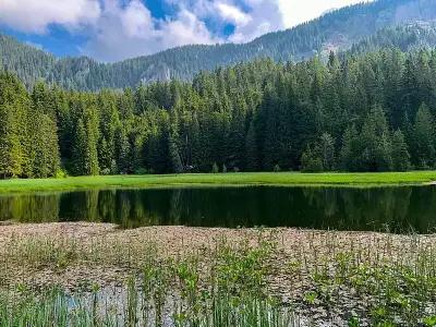 "Моето Любимо Място", Смолянски езера - "My Favorite Place", Smolyan lakes