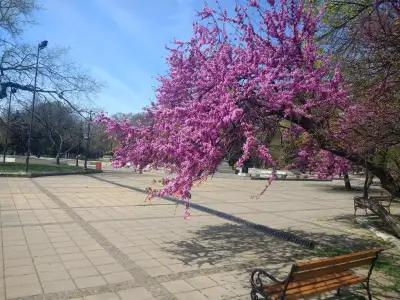 Регионална библиотека „Пенчо Славeйков“