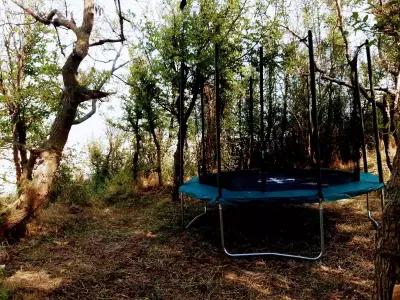 Camping Irakli Wild