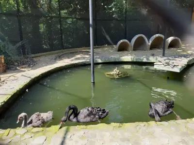 Зоологическа градина Варна