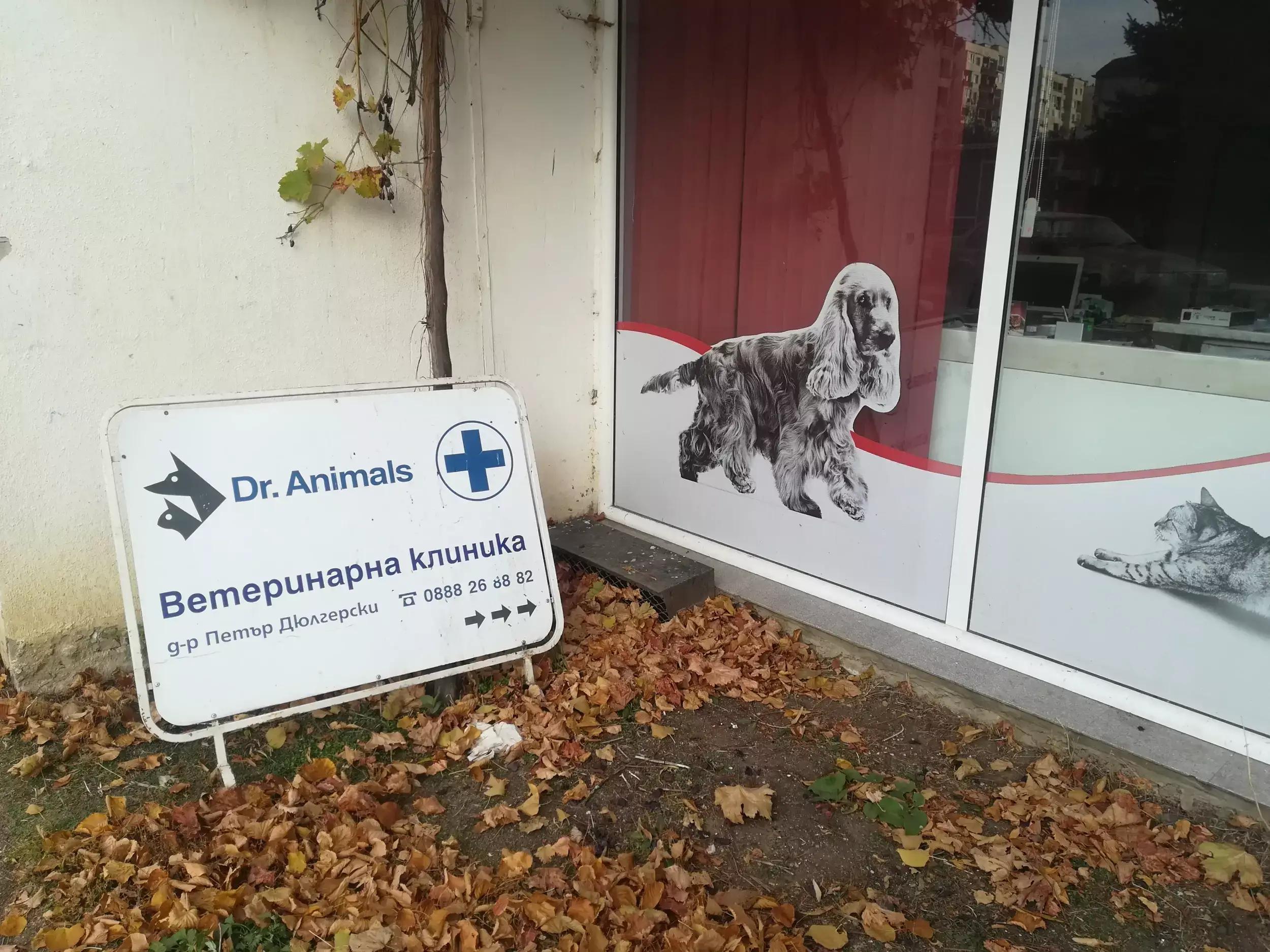 Dr.Animals