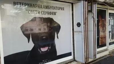 Свети Серафим