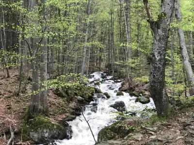 Драгалевски манастир „Успение Богородично“