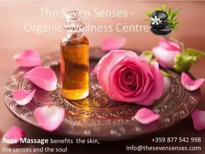 The Seven Senses - Organic Wellness centre