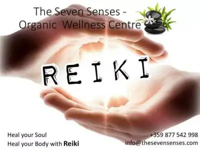 The Seven Senses - Organic Wellness centre