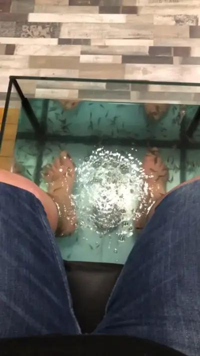 Fish spa beauty studio 2