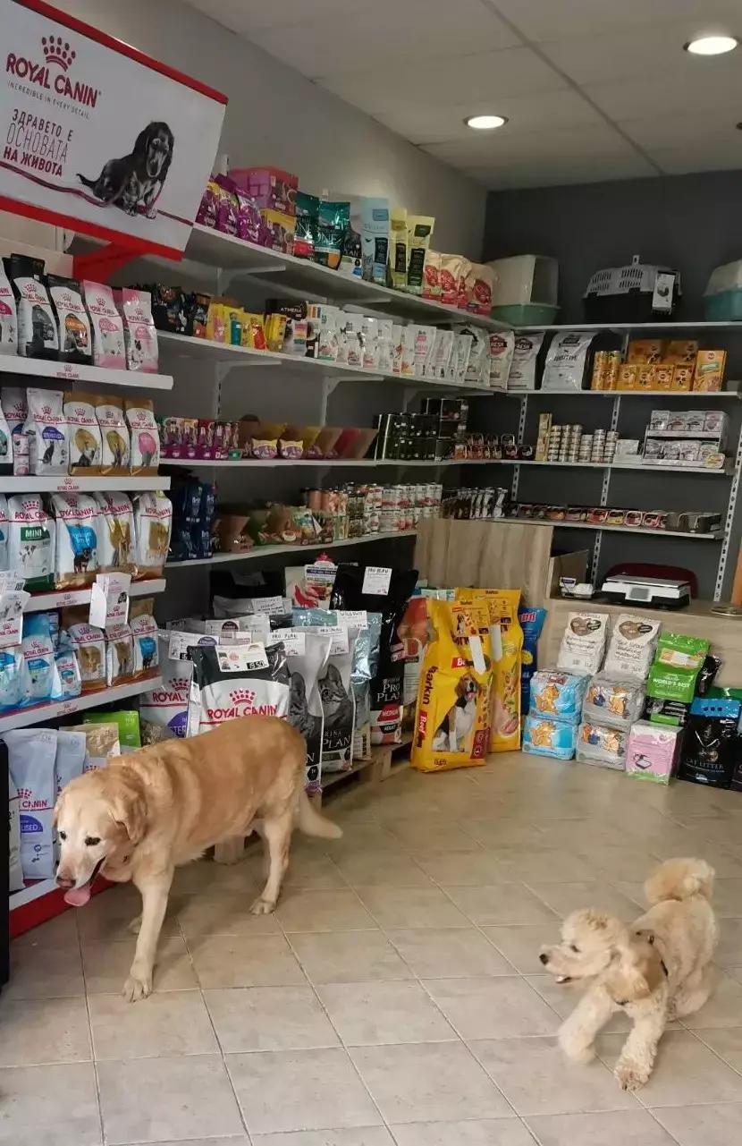 Pet Store Max - Зоомагазин