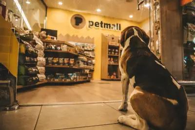 Petmall.bg Mladost pet store