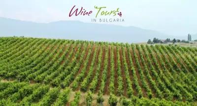 Winetours Bulgaria ltd