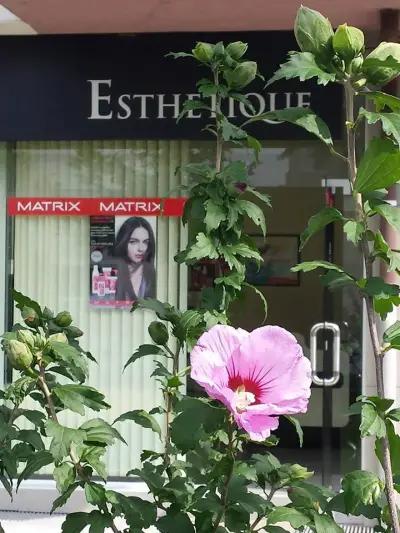 Esthetique