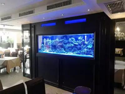 Aquariumprime | Магазин за аквариуми Пловдив | Аквариуми | Храна за рибки | Растителност | Филтри | Аксесоари