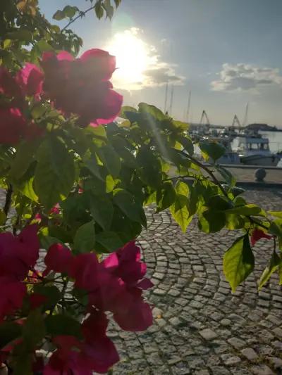 Yacht Club Marina Sozopol