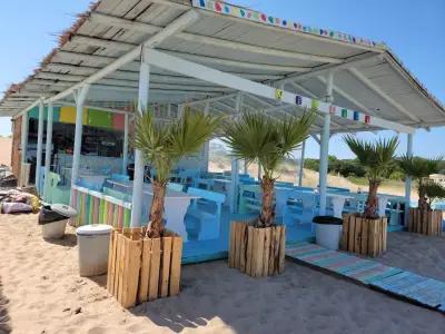 Beach Bar&Grill Color