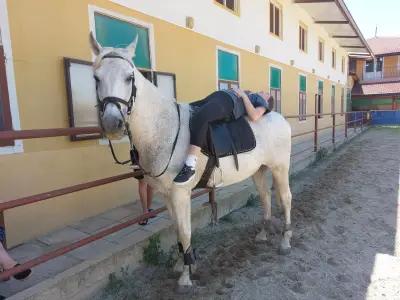 Horse riding Sunny Beach