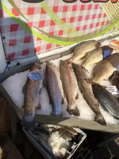 Fish market