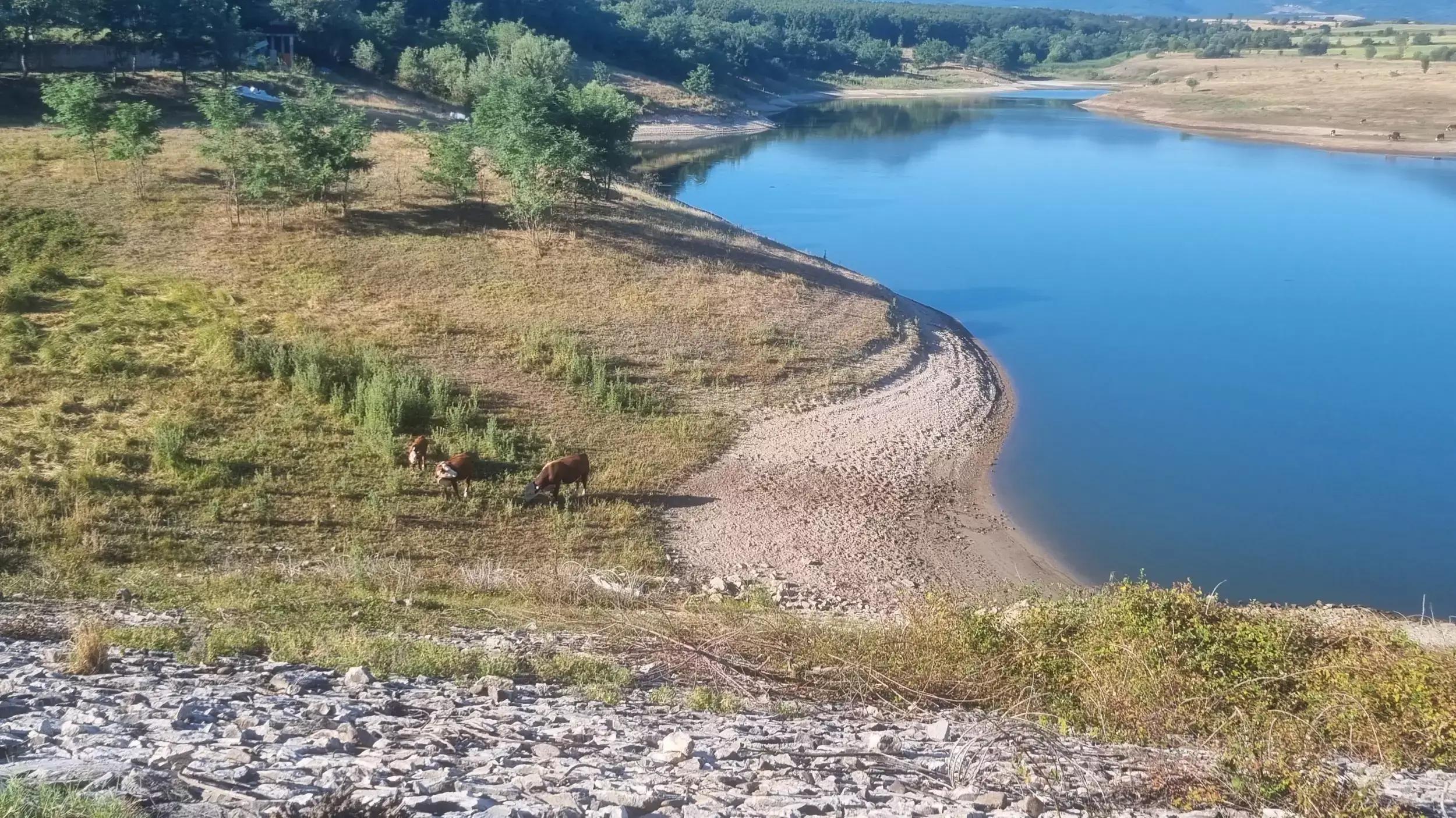 Комплекс Нови Извор