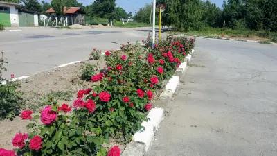 Петрол Вълчедръм