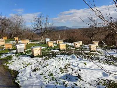 ДАС Инженеринг и Лъки Строй складове