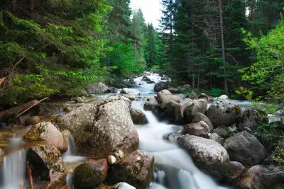 Summer Bansko