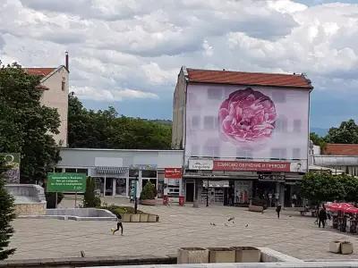 Представителство "Алианц България"