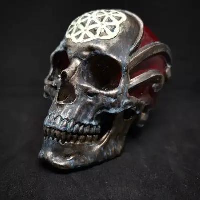 Luxury Skulls