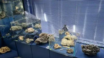 Mineral Shop-Madan -Bulgaria