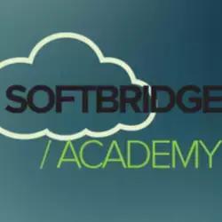 Softbridge академия