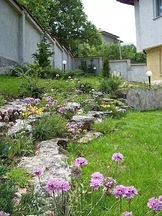 Pital landscaping