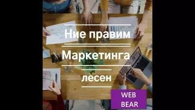 WEB BEAR