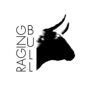 Raging Bull Ltd