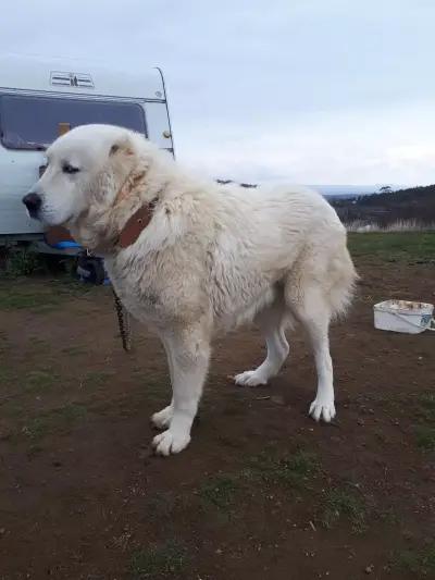 язовир Капаклии Старо село