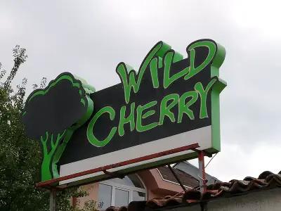 Wild Cherry 2 bedroom Apartament Economy-3