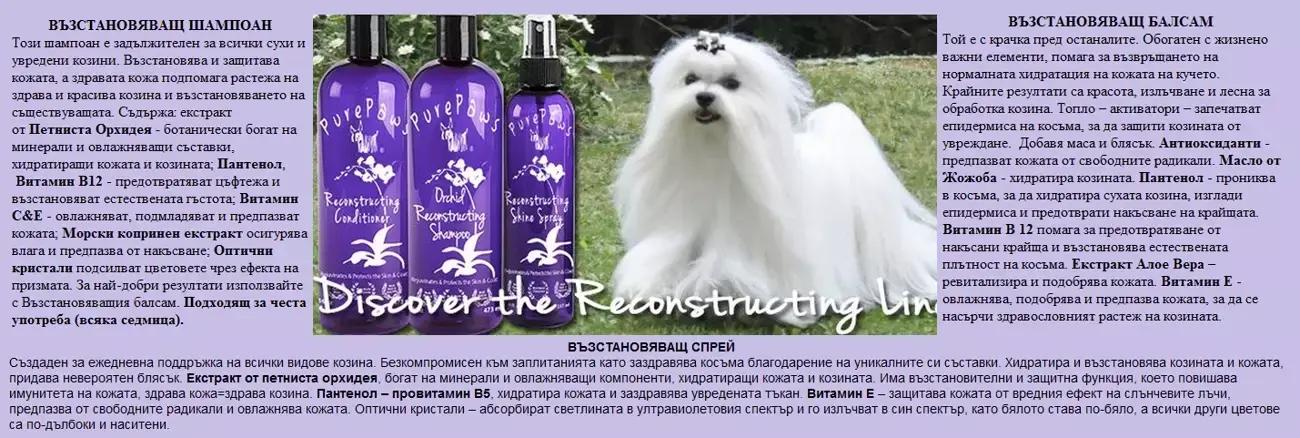 Pure Paws Bulgaria