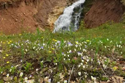 Маджаровски водопади