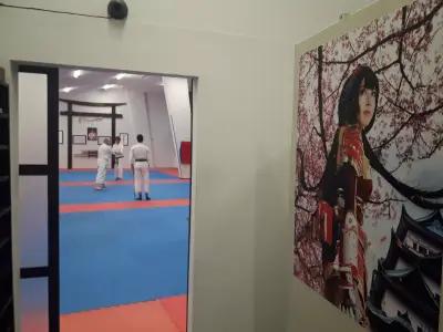 Takemusu Aikido Bulgaria