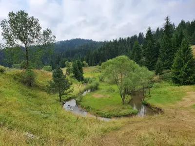 Къща за гости - механа Орлец