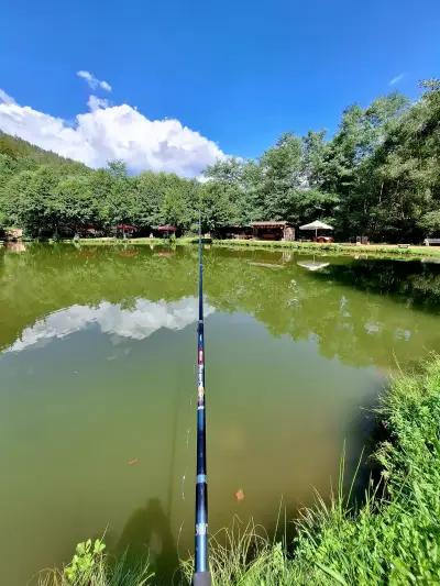 Fish Farm + restaurant