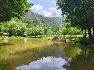 Fish Farm + restaurant