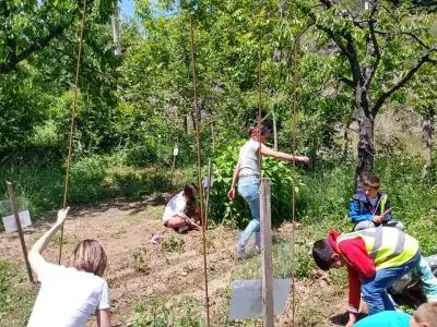 Частно основно училище "Изгрев"