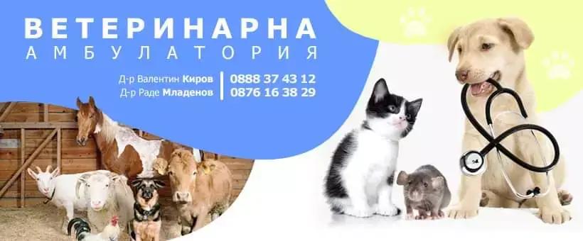 Ветеринарна Амбулатория Казичене