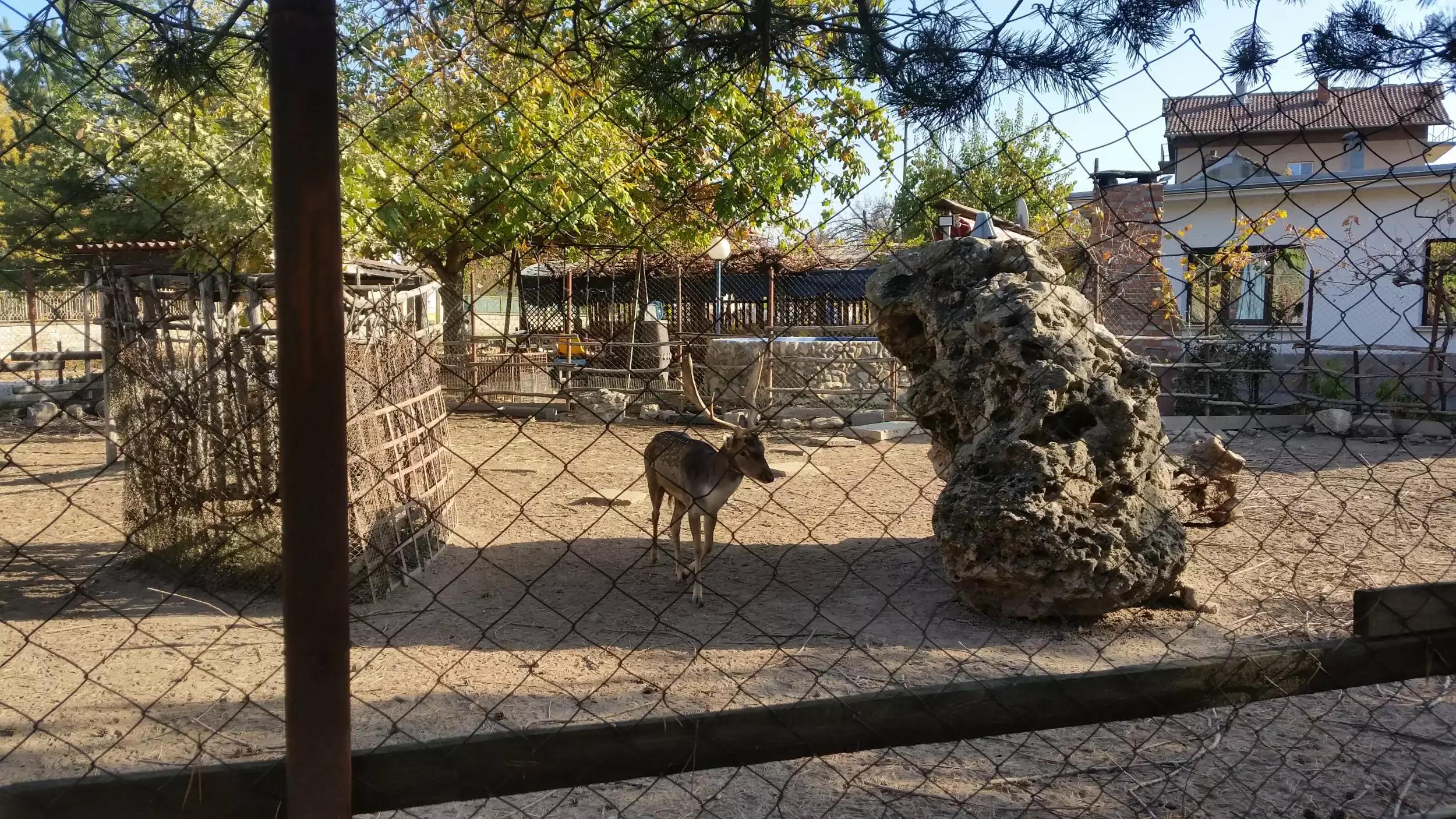 Снек Бар Панорама