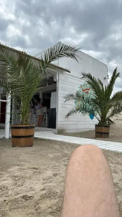 Beach Bar SUMMER VIBE