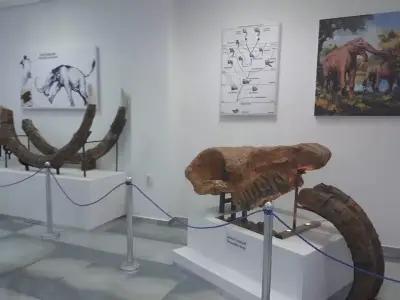 Палеонтологичен музей "Гема-Свят" Museum of paleontology "Gema-world"