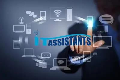 It Assistants LTD