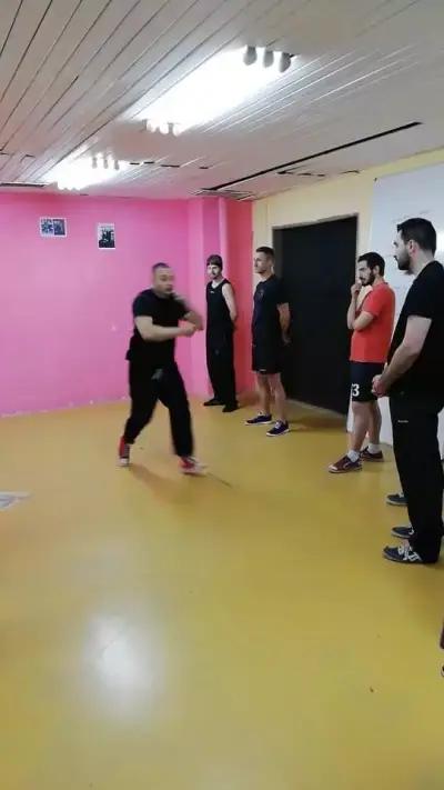 Dragon School Ving Tsun Kung Fu Sofia