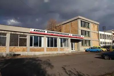 Terziev Dojo Shinkyokushinkai