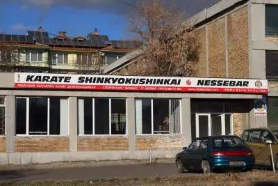 Terziev Dojo Shinkyokushinkai