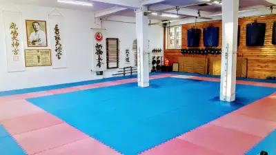 Terziev Dojo Shinkyokushinkai